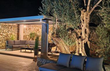 Olive Tree - House with Pool - Photo 28
