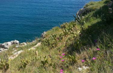 Badisco Vacanze - Foto 11