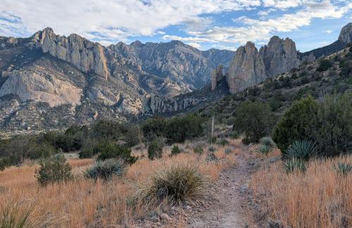 Secluded Stargazing Mecca Near Cave Creek Canyon - Foto 32