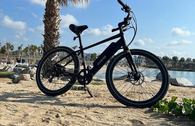 Flamboyan Hotel & Residences - Foto 64