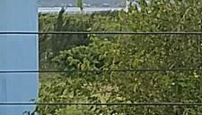 Apartamento Praia do Sonho - Foto 3