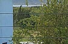 Apartamento Praia do Sonho - Foto 3