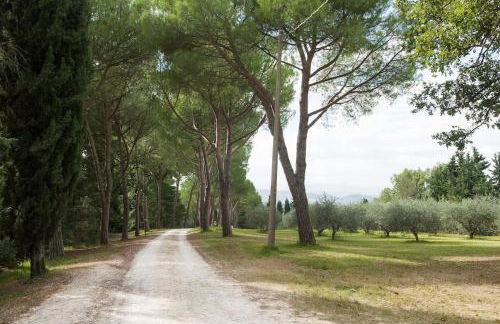 Agriturismo Floriani - Foto 23