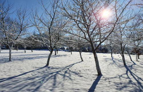 Pod Stromcem - Foto 30