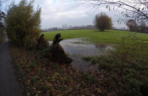 Ferienwohnung Niederrhein Blick - Foto 30