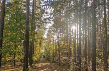 Ferienhaus Seensucht - Natur am See & im Wald mit Kamin - Foto 23