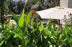 Apartman Norma free parking - Foto 41