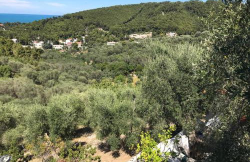 VILLA PINETA VISTA MARE - Foto 71