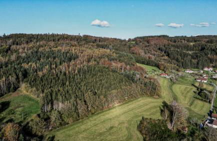 Refuge au coeur des Vosges - Foto 36