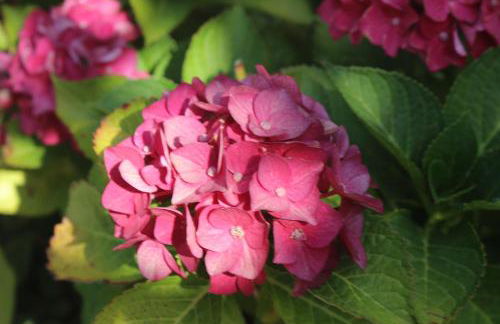 Casa dos Leme - Foto 52