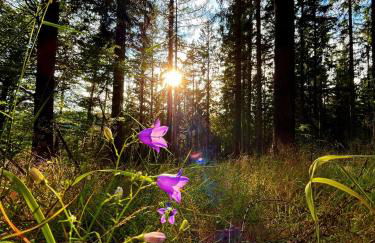 Ferienhaus Robin - Foto 20