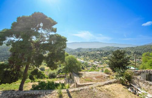 Zoe apartment - Photo 3