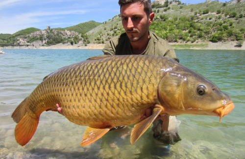 Casa con terrazzo vista Lago - LAKEHOLIDAY - Foto 61