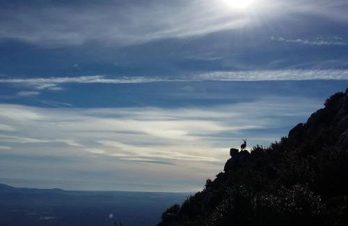 Apartament Bapu - Foto 24