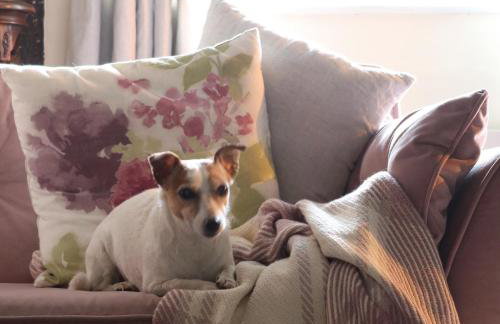 The Old Post Box - Foto 12