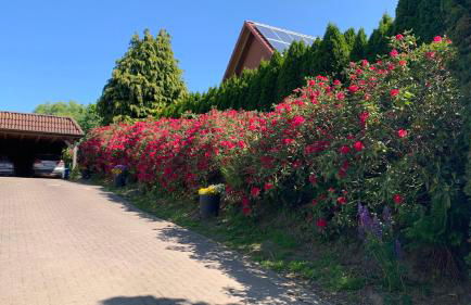 Ferienwohnung Schmidt - Foto 41