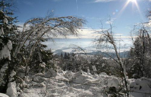 Ferienbauernhof Rosenberger - Foto 28