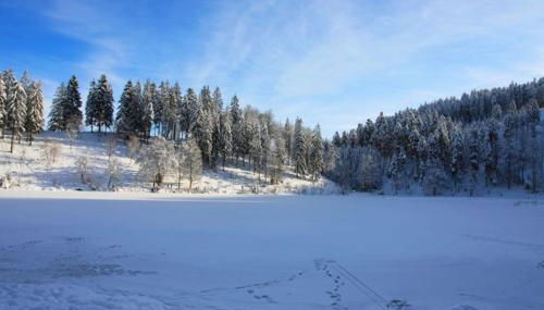 Ferienwohnung Hirschkopf - Foto 5