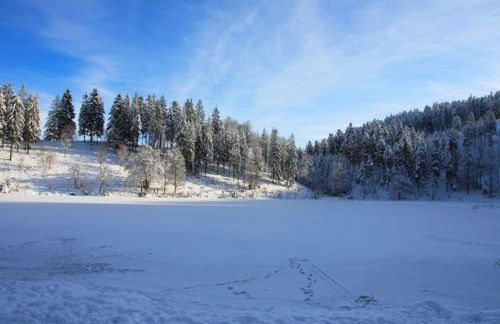 Ferienwohnung Hirschkopf - Foto 5