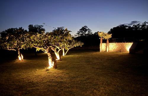 Finca Aprisco de Candeleda - Foto 54