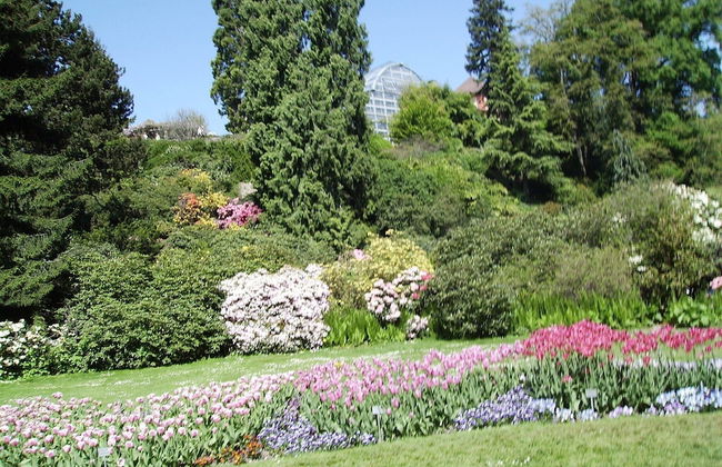 Welcoming Apartment in Niedereschach OT Kappel near Lake - Photo 42