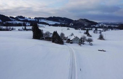 Genau so - Allgäu! Sau Gemütlich - Foto 15