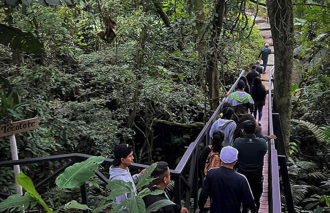 Finca San Cayetano - Photo 62