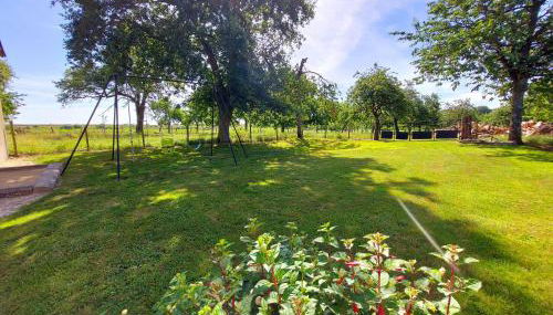 La Boutruchère - Photo 5