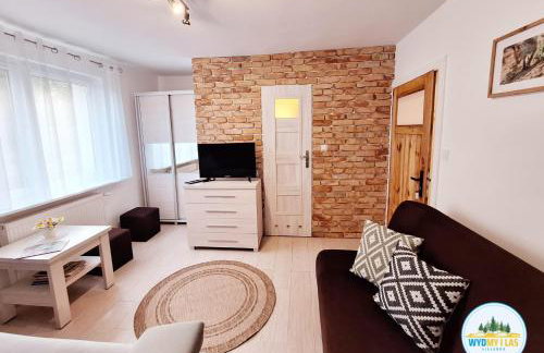 Sielanka Wydmy i Las - Foto 1