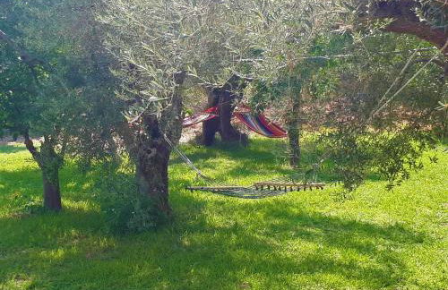 Greek village life by the sea - Foto 4