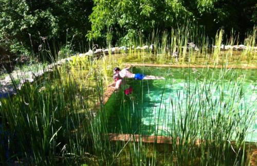 Casas Rurales Camino del Castaño - Foto 14