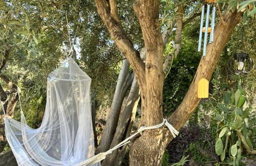 Casa del Sileno 12 - Foto 31