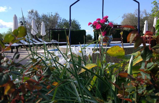 Agroturismo Sa Vinya d'en Palerm - Foto 34