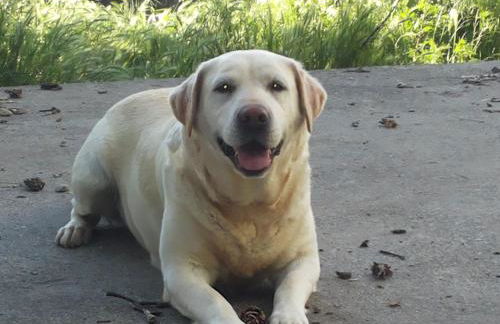 Agriturismo Tra Serra e Lago - Foto 34