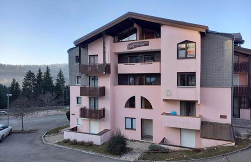 Charmant studio à la montagne - Foto 14