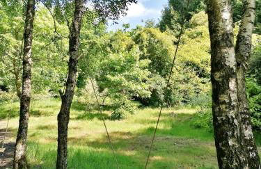 Le nid dans le chêne - Photo 27