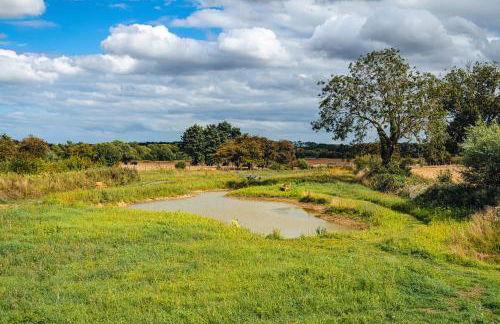 Andrus - Mayflower Meadow - Foto 25