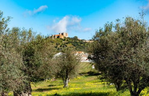 Evoramonte Encantada - Foto 11