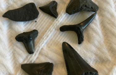 COFFEE on THE BEACH WINE on THE MARSH DOCK - Foto 57