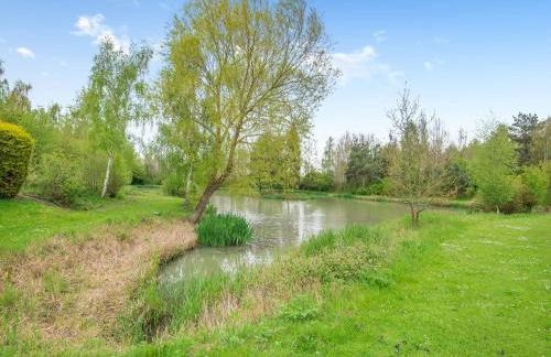 Kingfisher - Uk41034 - Foto 20