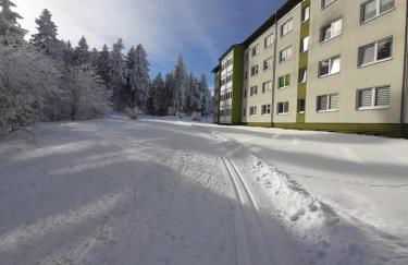 Ferienwohnung Waldblick Oberhof - Foto 12