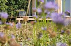 Ostoja Będzyn- Wypoczynek nad Pilicą - Foto 15