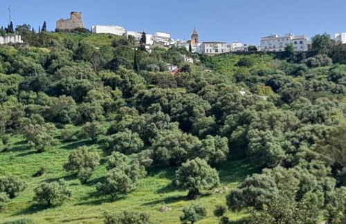 Casa Alkalat - Foto 14