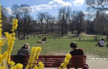 Schöneberg Holiday Flat & Art Gallery - Foto 36