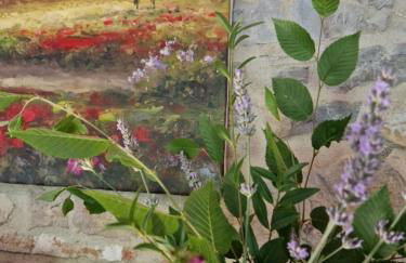 Molino di Cogno - Foto 52