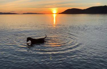 Tawny Owl Pod with Hot Tub - Foto 77