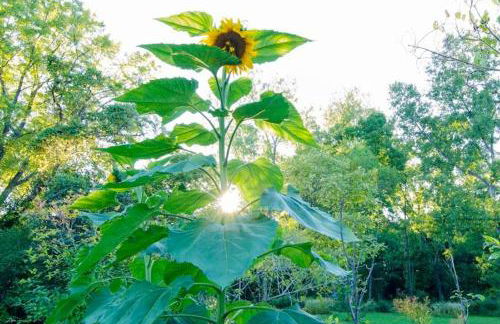 Too Good AKA 2 Goodrich St - Foto 17