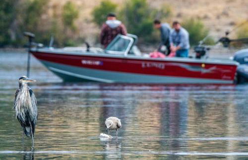 Floating Cottage on the River Nantucket - Foto 4
