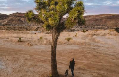 The Outlaw By The Cohost Company - Foto 58