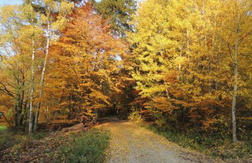 1 Mainblick Brigitte - Foto 16